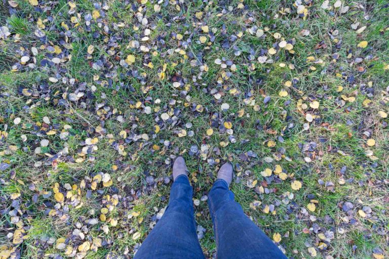 Tout l’automne entre les pieds