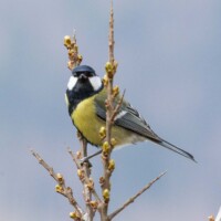 L'air si sérieux, parfois.