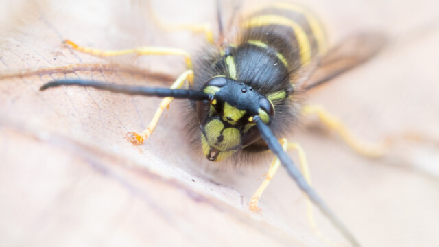 ... une dernière pose et elle s'en ira.