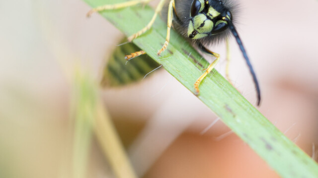 ... atterrrissage...