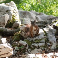 ... aurait-on mangé trop de gaufrettes?