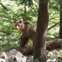 Un dernier regard et il quitte la scène.