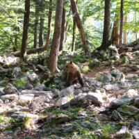 ... dans un beau décor...