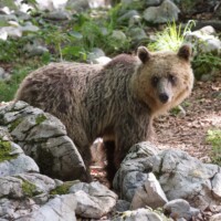 ... calme et attentif...