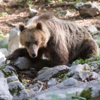 "tu crois qu'il sait qu'on est là?" - "Pschhhhhhhhht!!!!!!!"