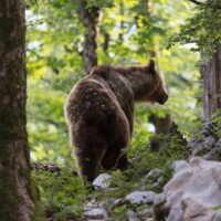 ... et il s'en va, au soleil couchant. Scénario parfait.