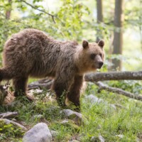 Encore un temps de pose pour les photographes...