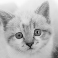 Petite bouille évidemment craquante