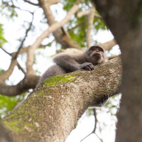 On peut se poser, observer...